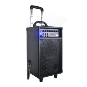 Portable PA Speaker System, Built-in Rechargeable Battery, MP3/USB/SD Readers, 30-Pin iPhone/iPod Dock, FM Radio, Accessory Kit, 500 Watt (PWMA890UI)